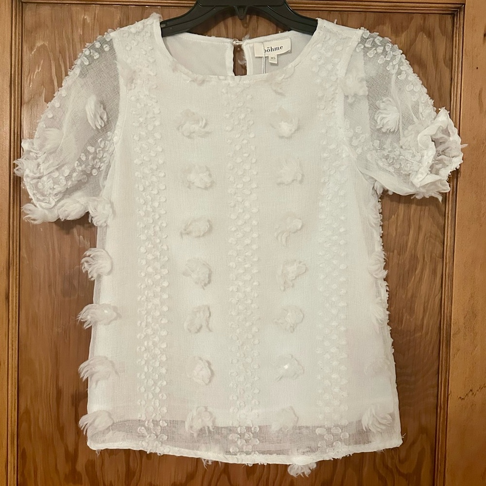 Sheer Fluffy Embroidered Blouse